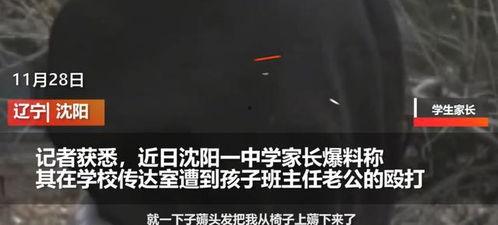 沈阳高中爆料新闻最新,揭秘校园风云事件背后的真相  第1张
