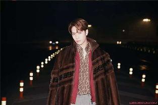 阿飞爆料王嘉尔视频,事件背后真相揭秘