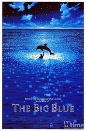 碧海蓝天 在线观看,在线畅享海洋生态之美 第3张 碧海蓝天 在线观看,在线畅享海洋生态之美 第3张