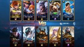 二舅王者爆料视频大全最新,揭秘游戏幕后真相与精彩瞬间