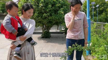 校园姐妹吃瓜视频网站免费观看,免费观看,尽享青春笑料 第3张 校园姐妹吃瓜视频网站免费观看,免费观看,尽享青春笑料 第3张